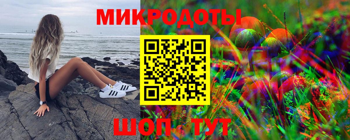 Галлюциногенные грибы прущие грибы Камышлов