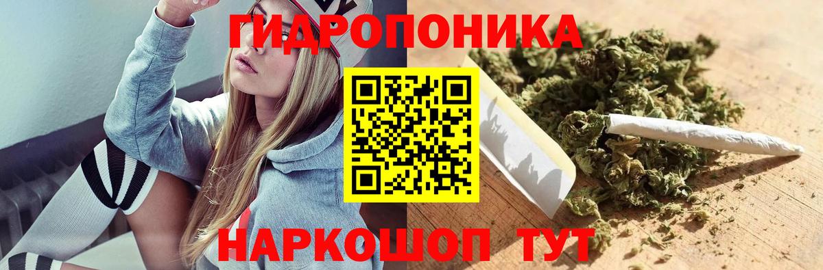 Каннабис Ganja  Каннабис план  Вход с VPN  Шишки марихуана OG Kush  Канабис Ganja  Камышлов 